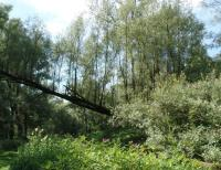 Expeditie Biesbosch Natuur