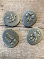 Creatieve Biesboschavonturen