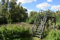 Griendeiland ontdektocht