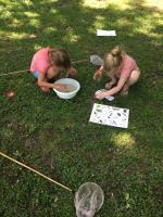 Waterbeestjes expeditie