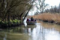 Rondje varen in de Biesbosch