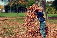 Biesbosch Herfstfeest