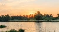Zomeravond Kanotocht
