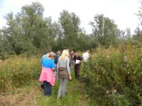Oude polders, Nieuwe natuur