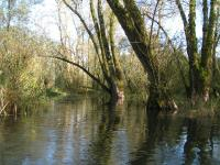 Natuurlezing